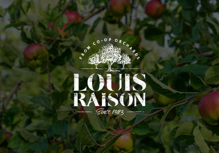 Louis Raison